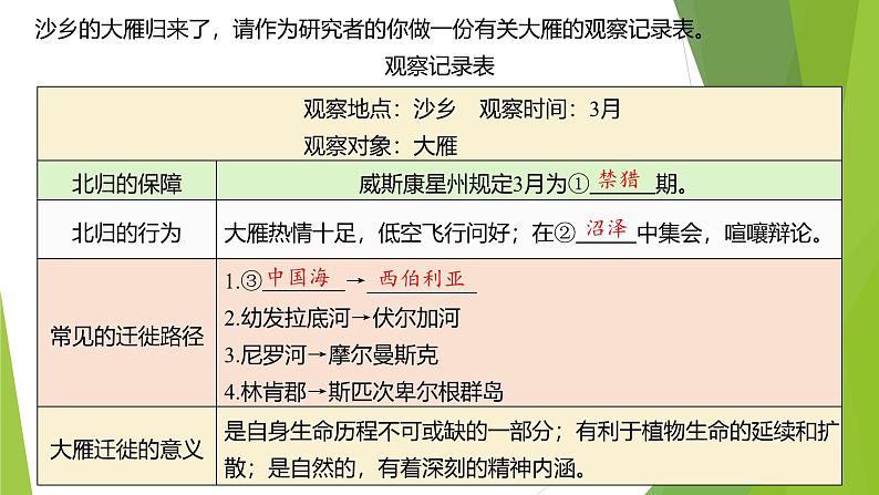 课件：部编版初中语文七年级上册第五单元第19课 大雁归来 第2课时04