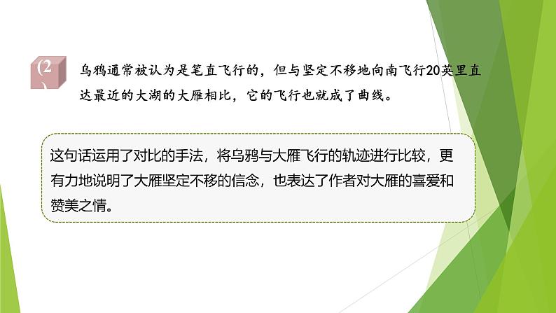 课件：部编版初中语文七年级上册第五单元第19课 大雁归来 第2课时08