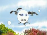 课件：部编版初中语文七年级上册第五单元第19课 大雁归来