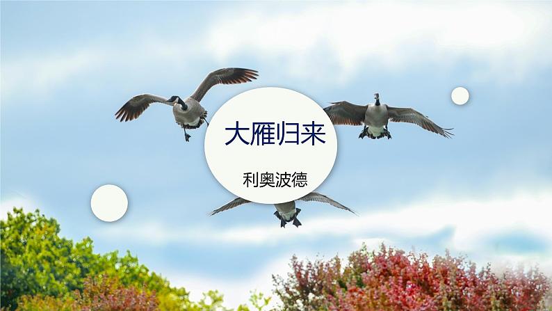 课件：部编版初中语文七年级上册第五单元第19课 大雁归来01
