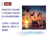 课件：部编版初中语文七年级上册第五单元第19课 大雁归来