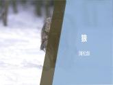 课件：部编版初中语文七年级上册第五单元第18课 狼
