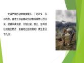 课件：部编版初中语文七年级上册第五单元　任务三　记述与动物的相处