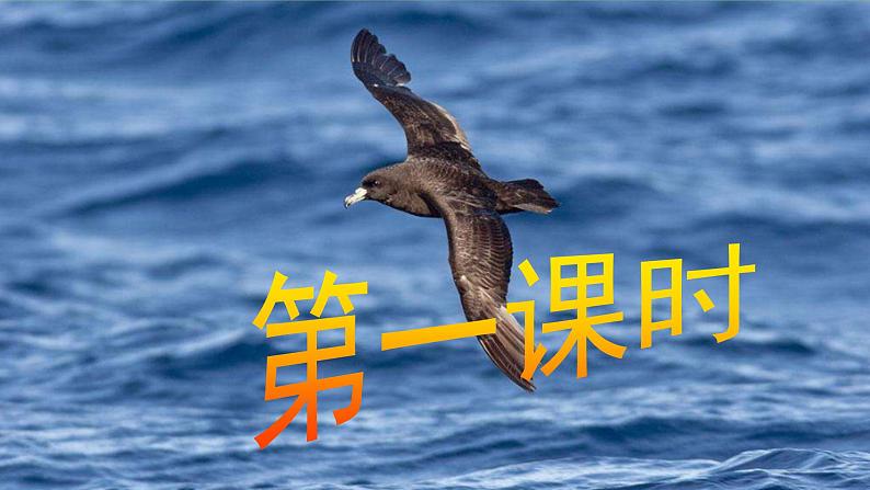 【任务型教学】2025部编初中语文九下4《海燕》 课件+教案+导学案（师生版）+同步测试（含答案）04