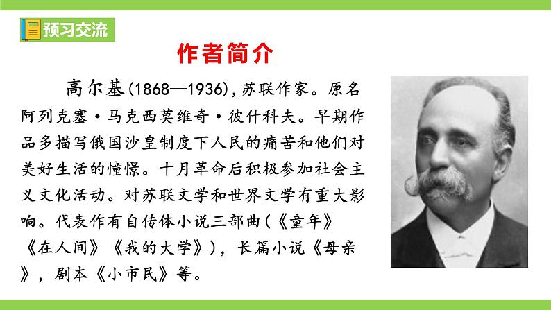 【任务型教学】2025部编初中语文九下4《海燕》 课件+教案+导学案（师生版）+同步测试（含答案）06