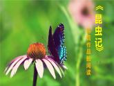 部编版八上语文第五单元名著《昆虫记》同步课件
