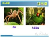 部编版八上语文第五单元名著《昆虫记》同步课件
