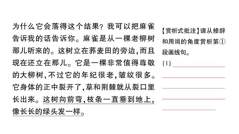 初中语文新人教部编版七年级上册第六单元群文阅读课件（2024秋）04
