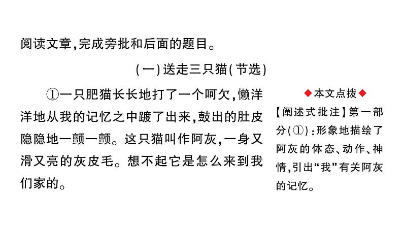 初中语文新人教部编版七年级上册第五单元群文阅读课件（2024秋）第3页