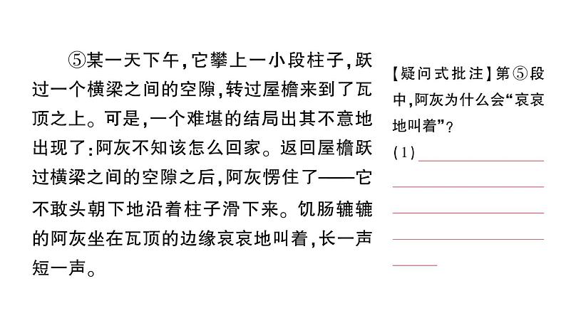 初中语文新人教部编版七年级上册第五单元群文阅读课件（2024秋）第6页