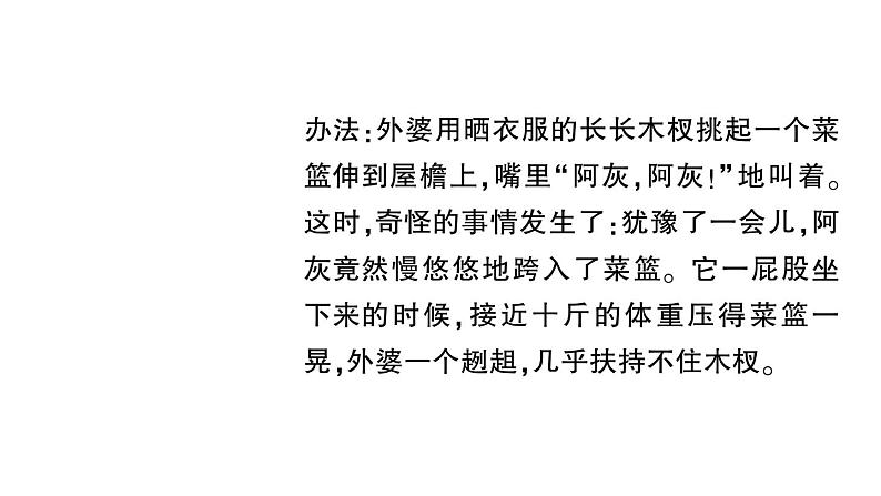 初中语文新人教部编版七年级上册第五单元群文阅读课件（2024秋）第8页