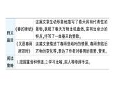 初中语文新人教部编版七年级上册第一单元群文阅读课件（2024秋）