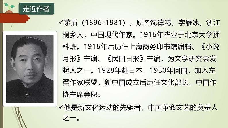 课件：部编版初中语文八年级上册第四单元第15课 白杨礼赞第4页