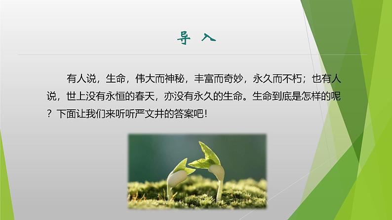 课件：部编版初中语文八年级上册第四单元第16课　散文二篇——《永久的生命》03