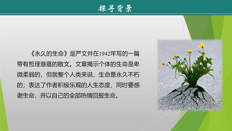 课件：部编版初中语文八年级上册第四单元第16课　散文二篇——《永久的生命》06
