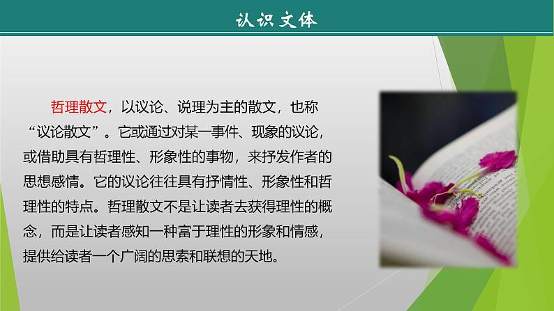 课件：部编版初中语文八年级上册第四单元第16课　散文二篇——《永久的生命》07