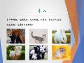 课件：部编版初中语文八年级上册第五单元单元写作 说明事物要抓住特征