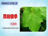 统编版语文七年级上册第3课雨的四季课件