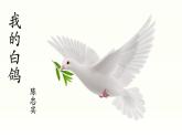 第18课《我的白鸽》课件-2024-2025学年统编版语文七年级上册（2024）