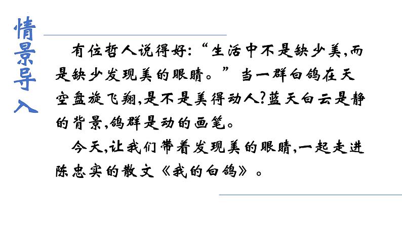 第18课《我的白鸽》课件-2024-2025学年统编版语文七年级上册（2024）03