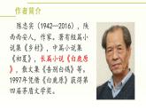 第18课《我的白鸽》课件-2024-2025学年统编版语文七年级上册（2024）