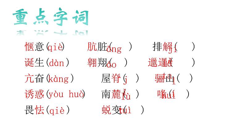 第18课《我的白鸽》课件-2024-2025学年统编版语文七年级上册（2024）06