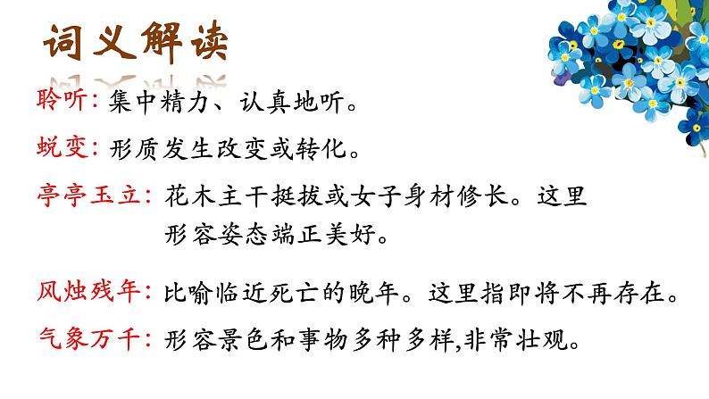 第18课《我的白鸽》课件-2024-2025学年统编版语文七年级上册（2024）07