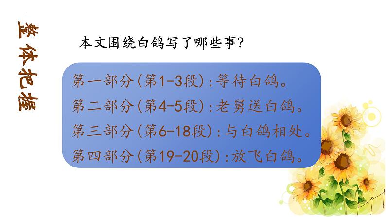 第18课《我的白鸽》课件-2024-2025学年统编版语文七年级上册（2024）08