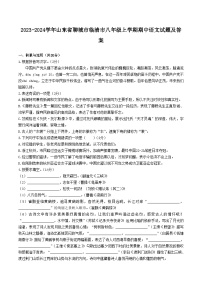 2023-2024学年山东省聊城市临清市八年级上学期期中语文试题及答案