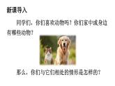 初中语文新人教部编版七年级上册第五单元任务三《记叙与动物的相处》教学课件（2024秋）