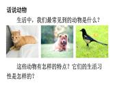 初中语文新人教部编版七年级上册第五单元任务三《记叙与动物的相处》教学课件（2024秋）