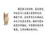 初中语文新人教部编版七年级上册第五单元任务三《记叙与动物的相处》教学课件（2024秋）