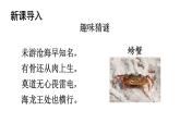 初中语文新人教部编版七年级上册第五单元任务二《亲近动物，丰富生命体验》教学课件（2024秋）