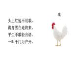 初中语文新人教部编版七年级上册第五单元任务二《亲近动物，丰富生命体验》教学课件（2024秋）