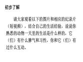初中语文新人教部编版七年级上册第五单元任务二《亲近动物，丰富生命体验》教学课件（2024秋）
