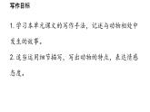 初中語(yǔ)文新人教部編版七年級(jí)上冊(cè)第5單元  任務(wù)三《記述與動(dòng)物的相處》教學(xué)課件（2024秋）
