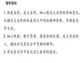 初中语文新人教部编版七年级上册第1单元 写作《热爱写作，学会观察》教学课件（2024秋）