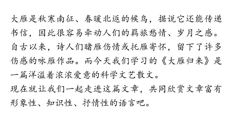 初中语文新人教部编版七年级上册第5单元 19《大雁归来》教学课件（2024秋）03