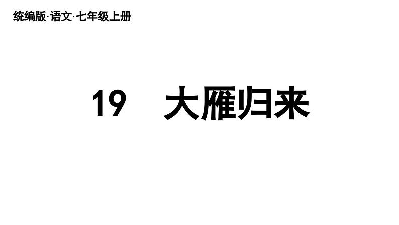 初中语文新人教部编版七年级上册第5单元 19《大雁归来》教学课件（2024秋）04