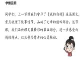 初中语文新人教部编版七年级上册第5单元 18《我的白鸽》课时2教学课件（2024秋）