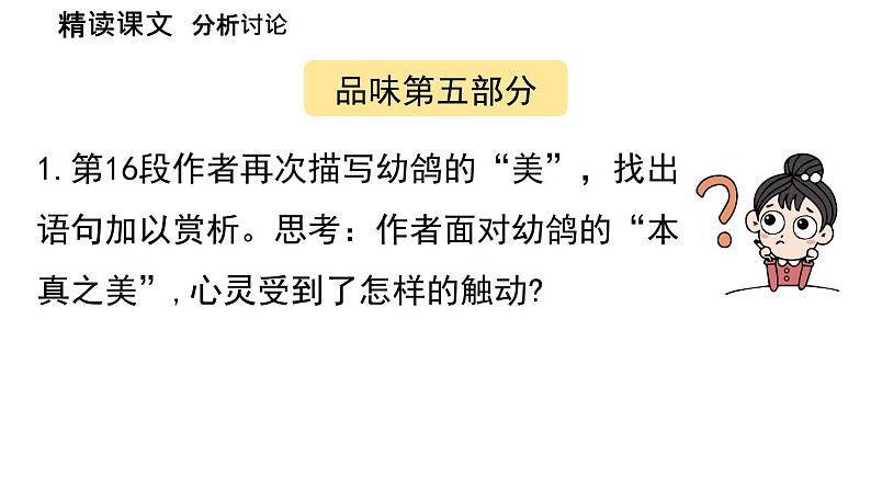 初中语文新人教部编版七年级上册第5单元 18《我的白鸽》课时2教学课件（2024秋）第4页