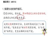 初中语文新人教部编版七年级上册第5单元 17《猫 》课时2教学课件（2024秋）