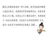 初中语文新人教部编版七年级上册第5单元 17《猫 》课时1教学课件（2024秋）