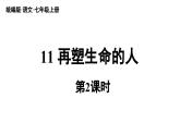 初中语文新人教部编版七年级上册第3单元 11《再塑生命的人 》课时2教学课件（2024秋）