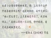 初中语文新人教部编版七年级上册第2单元 5《秋天的怀念 》课时1教学课件（2024秋）