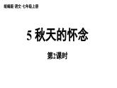 初中语文新人教部编版七年级上册第2单元 5《秋天的怀念 》课时2教学课件（2024秋）