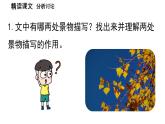 初中语文新人教部编版七年级上册第2单元 5《秋天的怀念 》课时2教学课件（2024秋）