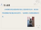 统编版语文（2024修订版）七年级上册第五单元大单元设计（教学设计+课件+学习任务单）