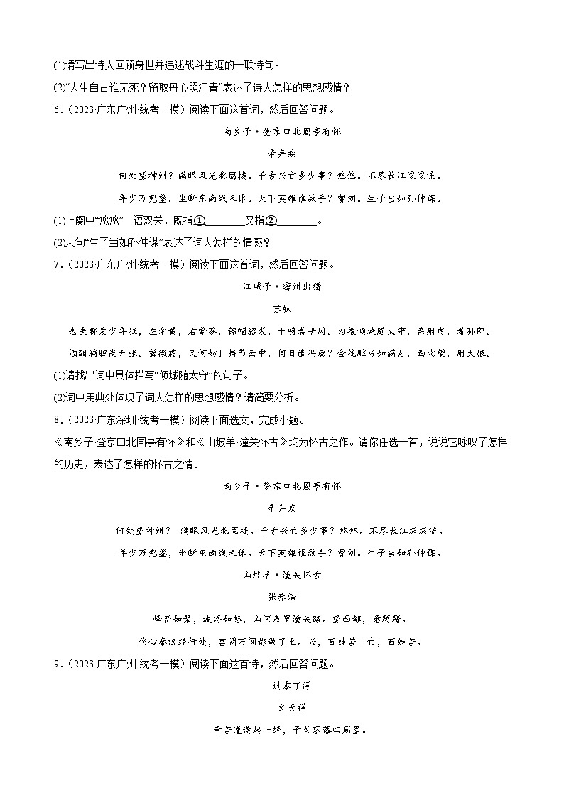 2023年广东省各地中考语文模拟试题分项选编：诗歌鉴赏题第3页