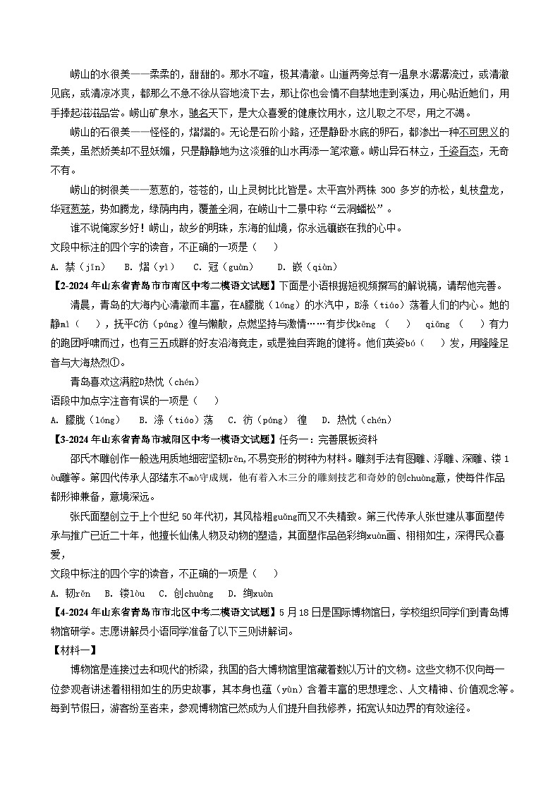 专题01 字音辨析-备战2025年中考语文专项精练（山东青岛专用）（原卷版）第3页